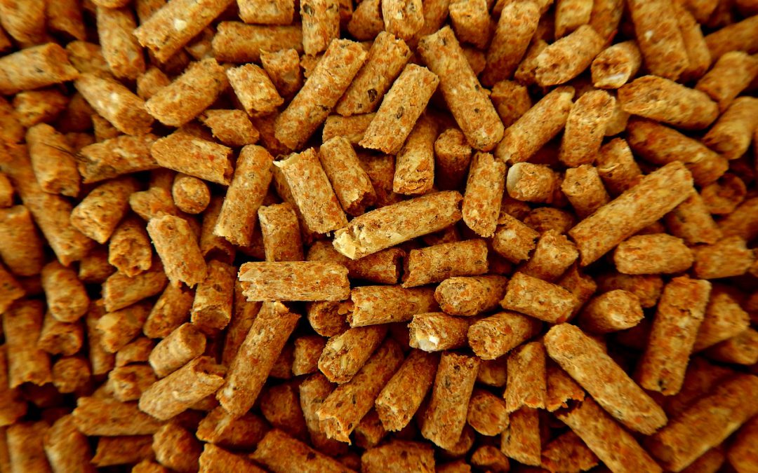 Zijn pellets duurzaam of toch niet?