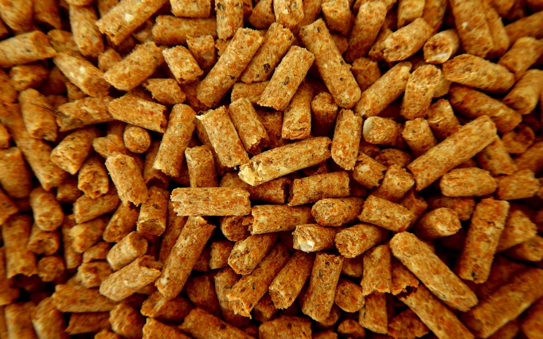 Zijn pellets duurzaam of toch niet?