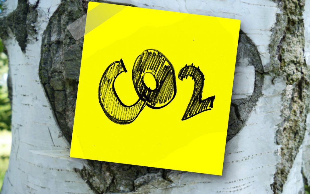 5 tips voor minder CO2-uitstoot