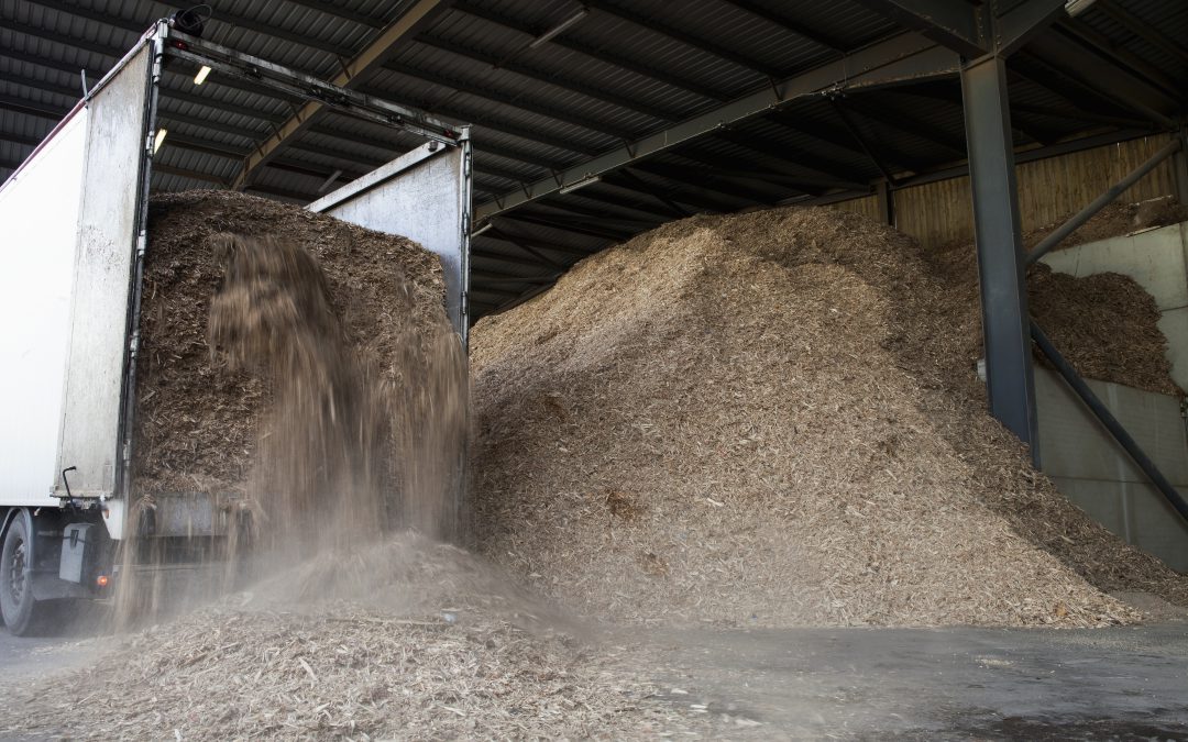 Is biomassa duurzaam?