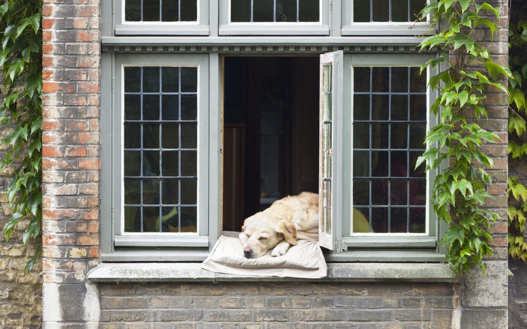 Hoe kun je jouw woning koelen?