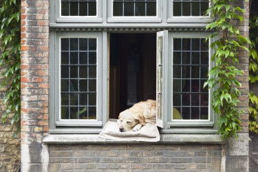 woning koelen duurzaam anders verwarmen